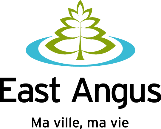 electric vehicle charging station incentives